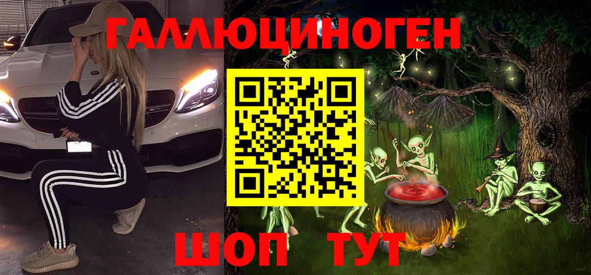 Галлюциногенные грибы Psilocybine cubensis Беслан